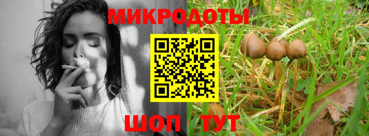 Саяногорск  Галлюциногенные грибы MAGIC MUSHROOMS  Вход с VPN 